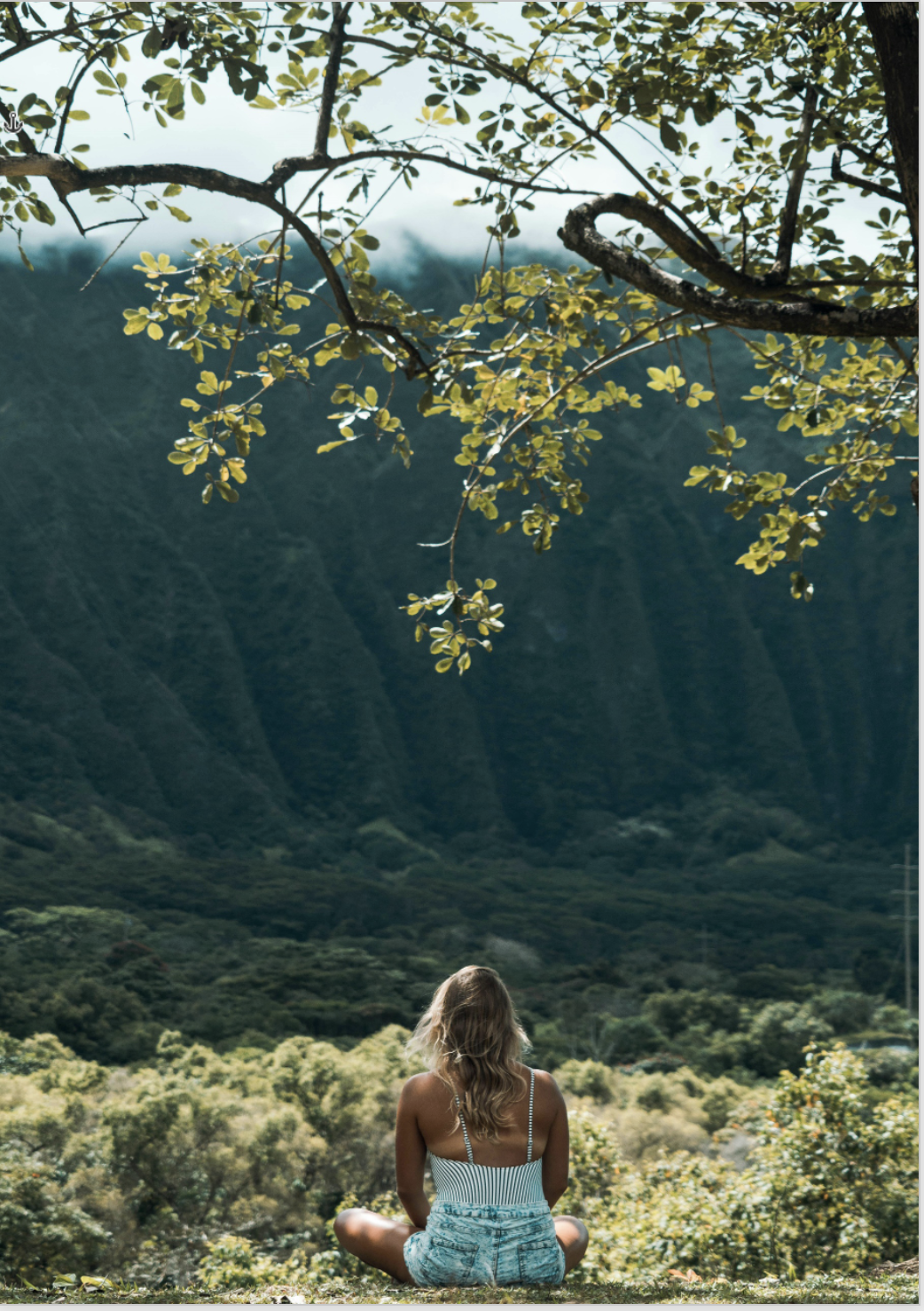 Vergebung ist der Schlüssel zum Glück